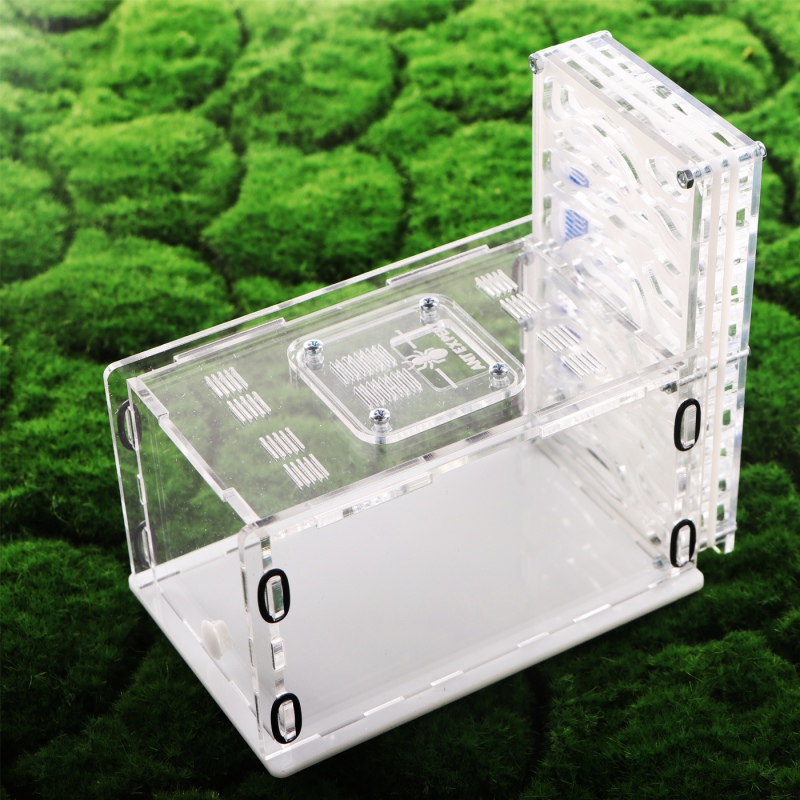 Ant Expert Deep Mine - professional acrylic formicarium